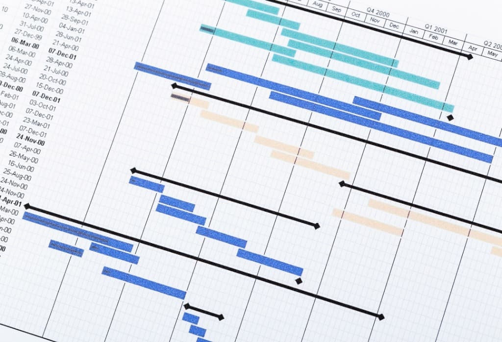 Gantt View